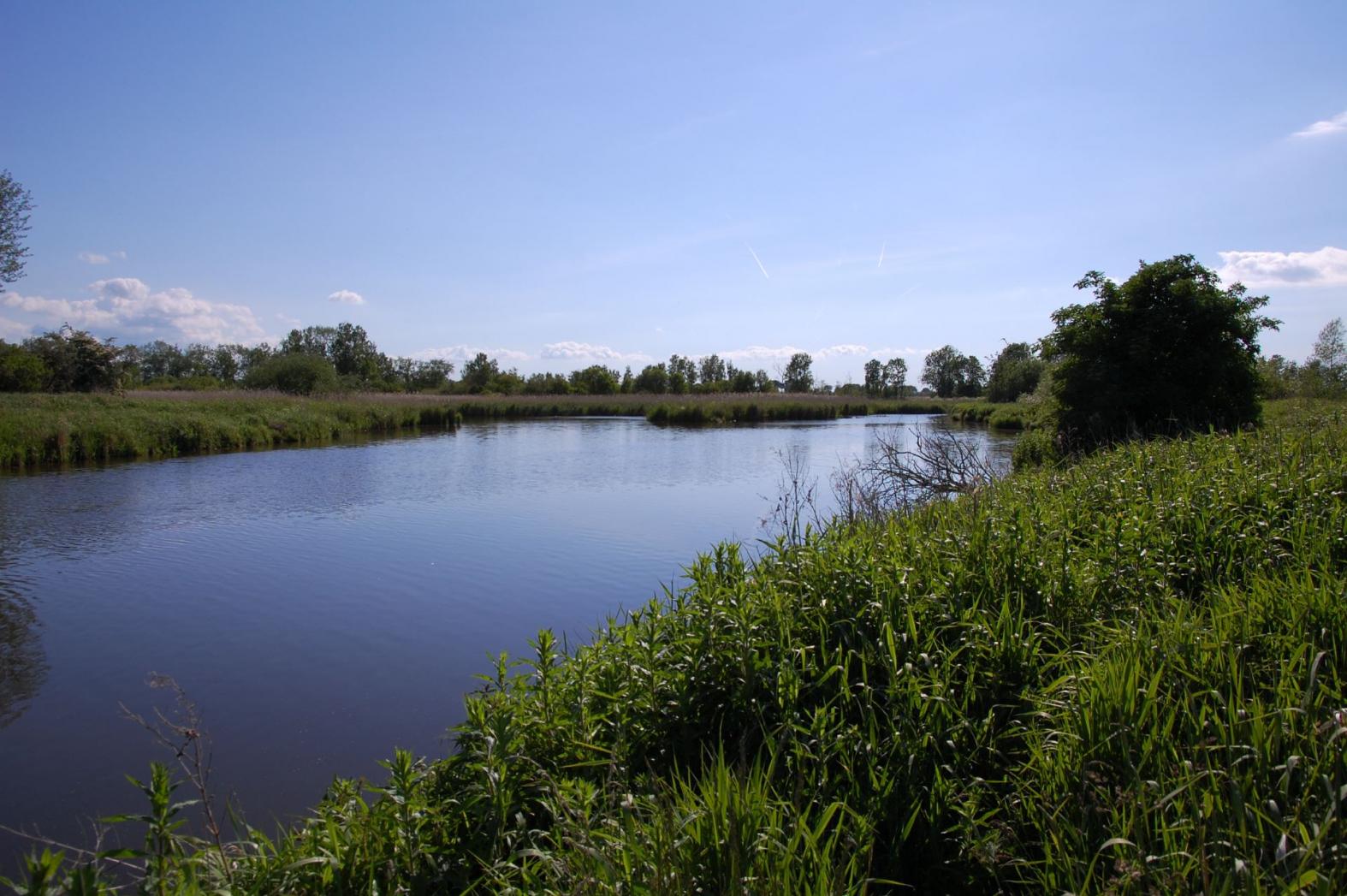 Fernautal am Ostseebad Kalifornien